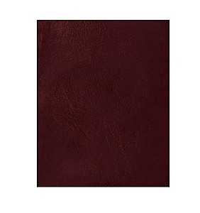 Caiet A4 96 foi, patratele, coperta tare, bordo