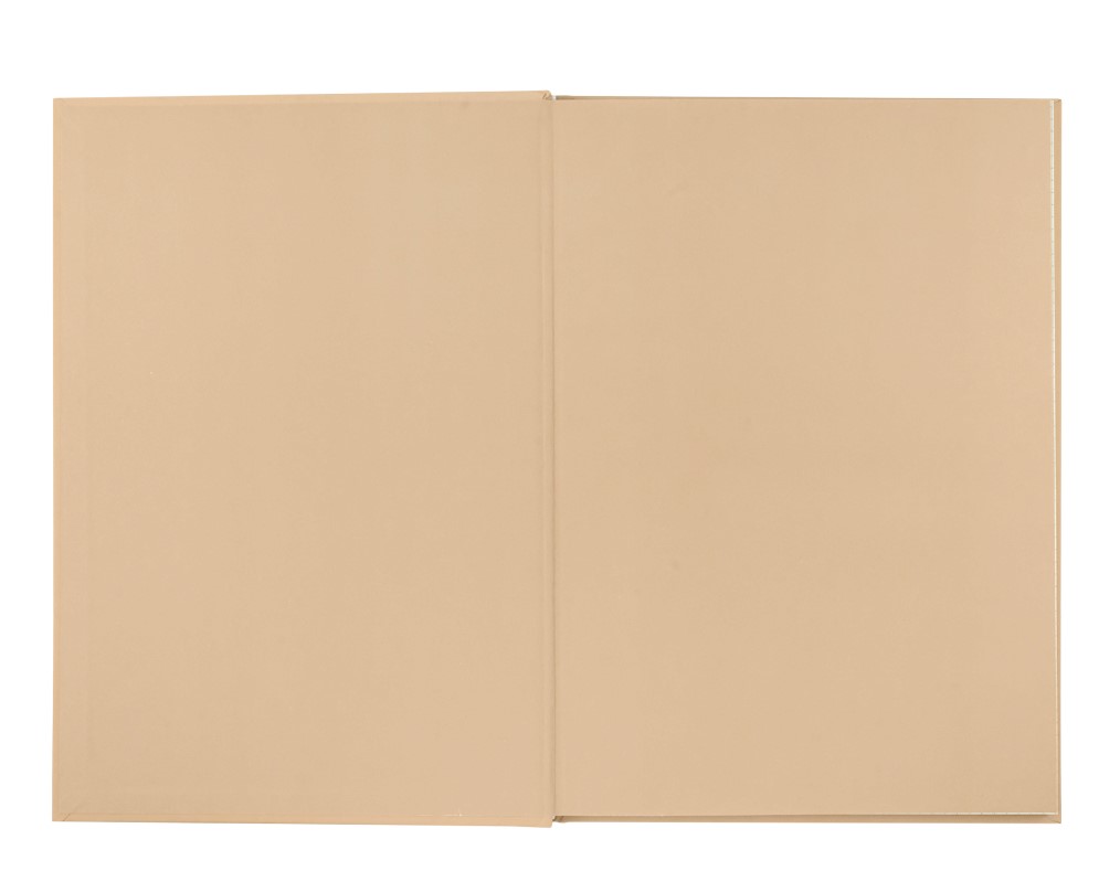 Registru  A4  96 foi patratele, coperta tare, cappuccino BM.2400-432i