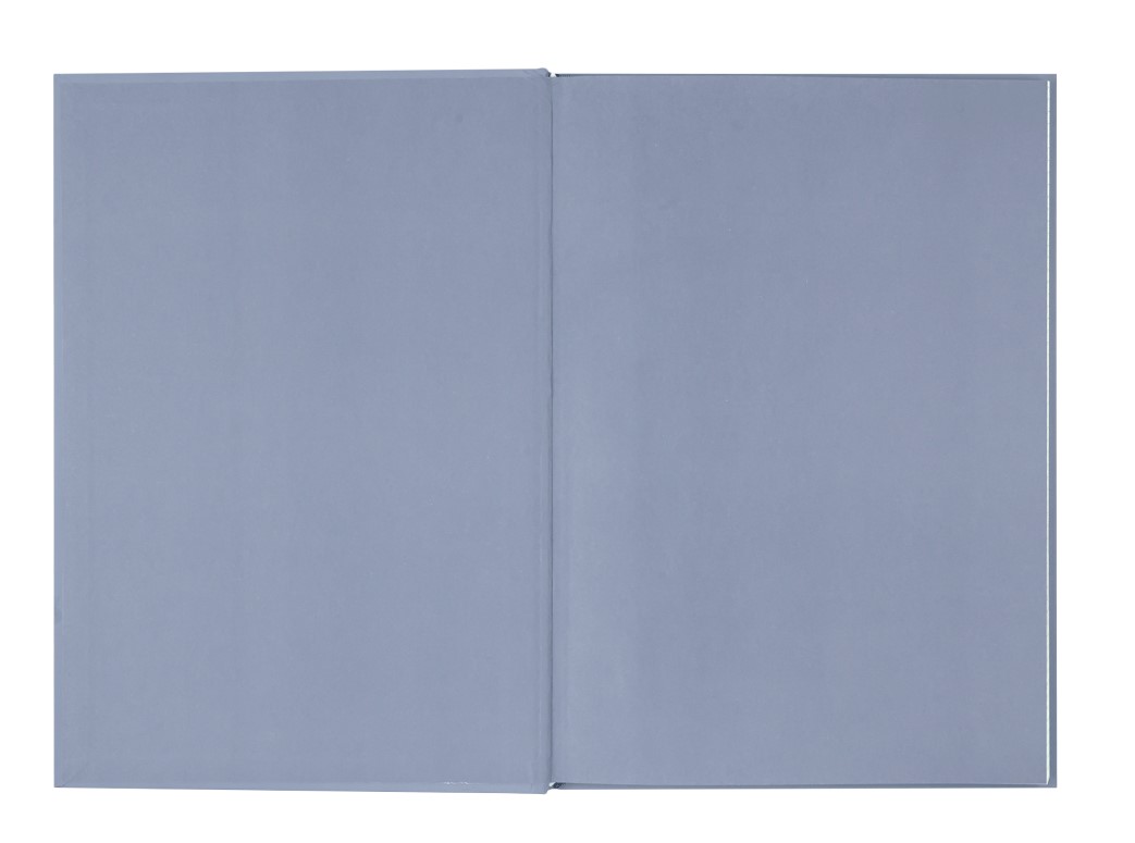 Registru  A4  96 foi patratele, coperta tare, marengo BM.2400-453i