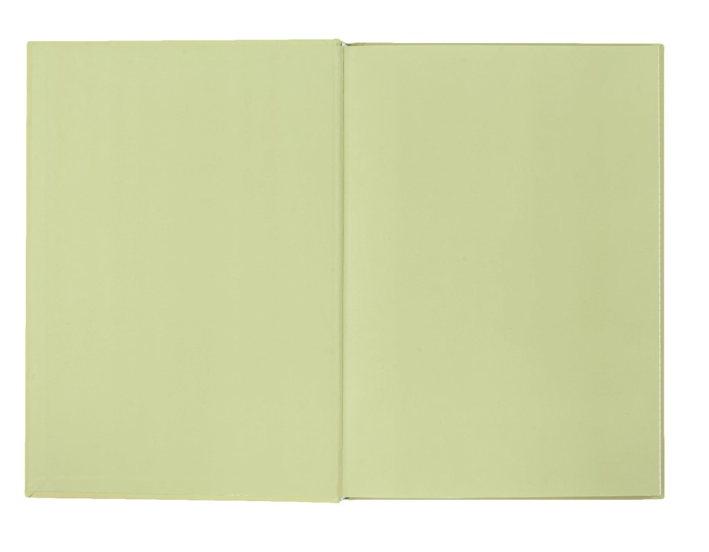 Registru  A4  96 foi patratele, coperta tare, oliv BM.2400-436i