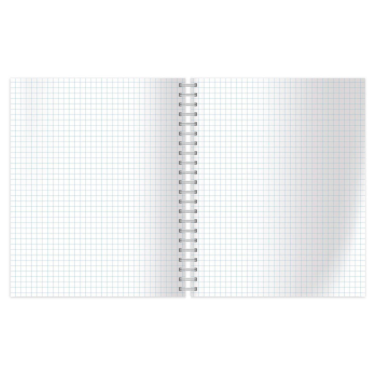 Registru  80 foi patratele 56903 pe spirala, laminare mat, 80gr