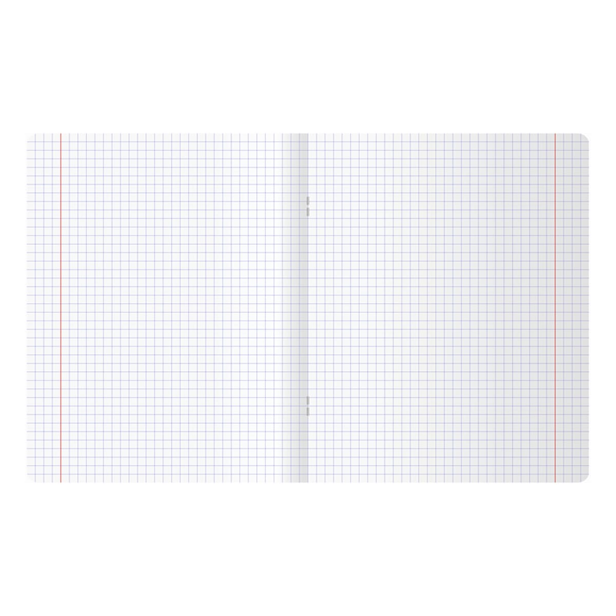 Registru  96 foi patratele 11211, lac selectiv