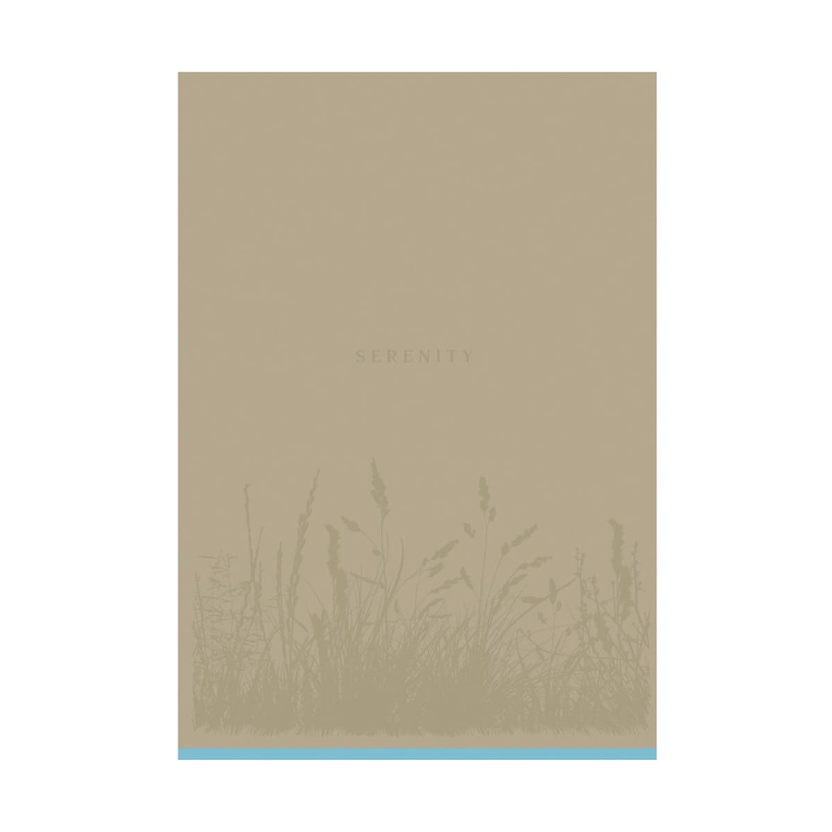 Registru  96 foi patratele 11211, lac selectiv