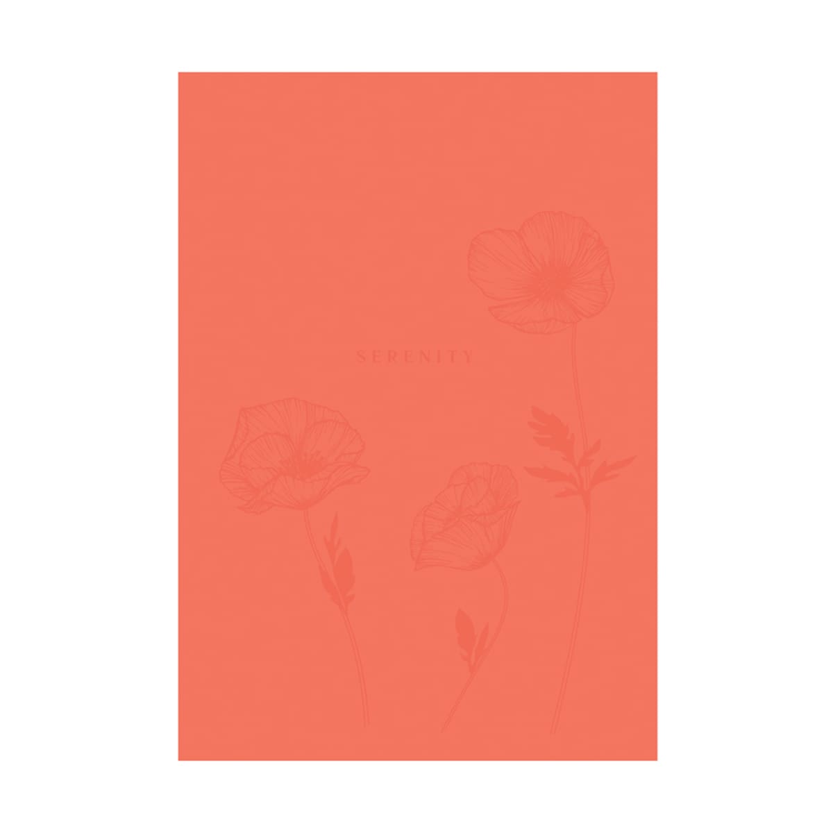 Registru  96 foi patratele 11211, lac selectiv