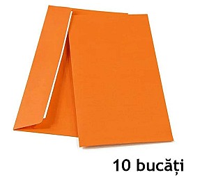Plic 2240-021 DL, 110x220, 10 bucati, siliconic skl, orange