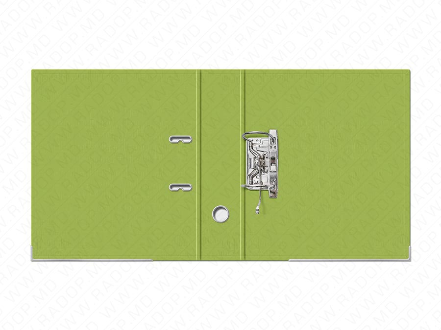Biblioraft A4  75mm verde neon CLASS  ST05360