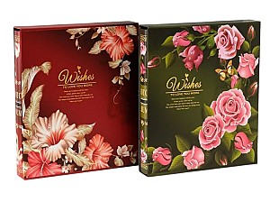 Album foto pentru 200 poze 13x18cm 1210