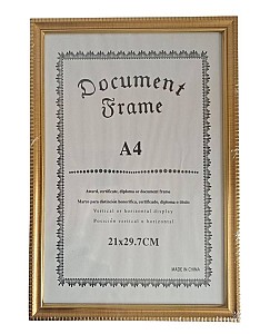 Rama foto A4 1108 aurie