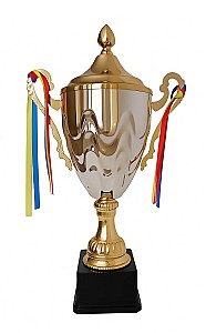 Cupa sport 31cm HH01290