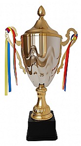 Cupa sport 40cm HH01288