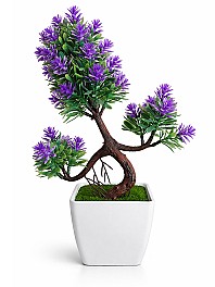 Bonsai in ghiveci HH02050 violet
