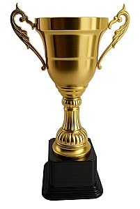 Cupa 27,5cm 02324 HH