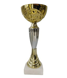 Cupa BC20-22cm HH03679