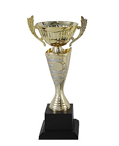 Cupa BC252-27,5cm HH03704