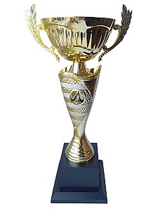 Cupa BC252-35,5cm HH03706