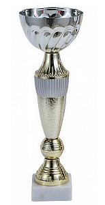 Cupa BC14-24,5cm HH03855