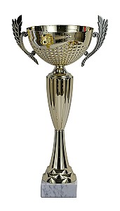 Кубок BC59-30,5см HH03860