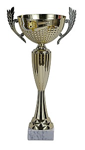 Кубок BC59-37см HH03861