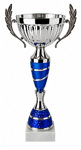 Кубок BC267-32,5см HH03863