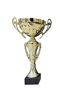 Кубок BC371-21,5см HH03908