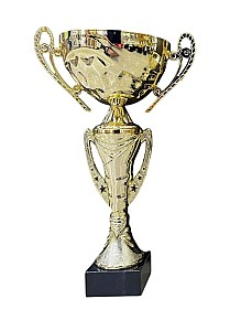 Кубок BC371-26,5см HH03909