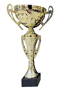 Кубок BC371-30,5см HH03910