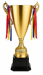 Cupa BC378 55 cm HH04277