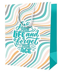 Punga pentru cadou 33x42x12cm, 39870-Cxl