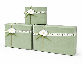 Набор коробок подарочных (3шт) HH04241 зеленый