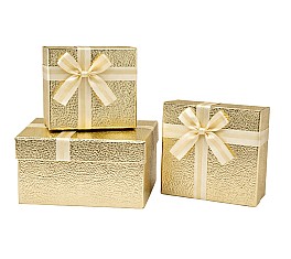 Set de cutii pentru cadouri (3 buc) HH04249