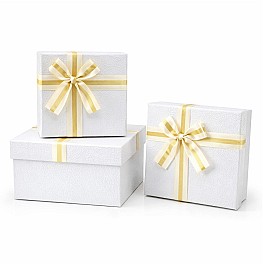 Set de cutii pentru cadouri (3 buc) HH04251
