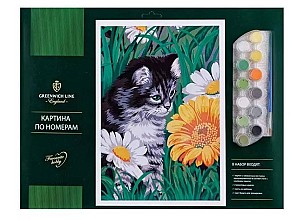 Pictura pe numere Motanas in flori 30x40cm