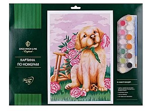 Pictura pe numere Catelus 30x40cm