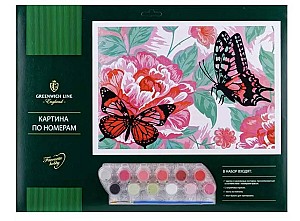 Pictura pe numere Fluturi 30x40cm _27779