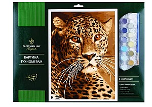 Pictura pe numere Leopard 30x40cm _41496
