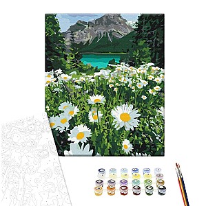 Pictura pe numere 40x50cm Brushme BS29451 Margaretele de la munti, in cutie