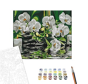 Pictura pe numere 40x50cm Brushme BS29693 Orhidei albe, fara cutie