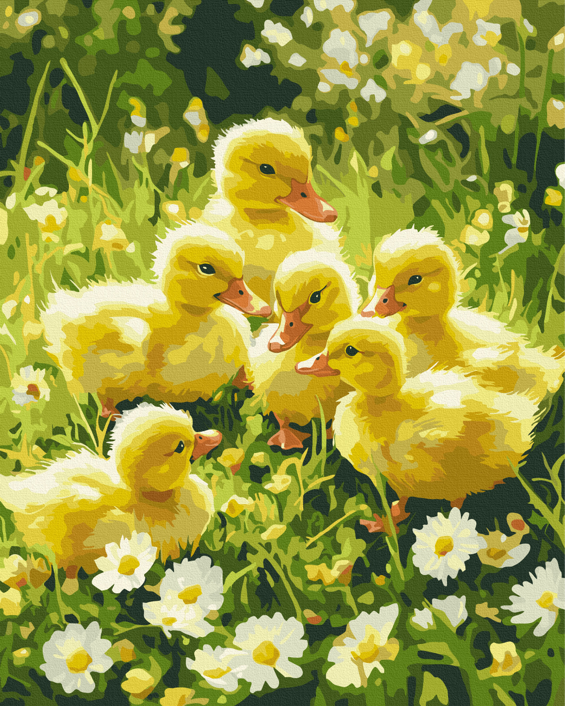 Картина по номерам 40x50см Brushme BS54232 Милые утята на лужайке, в коробке