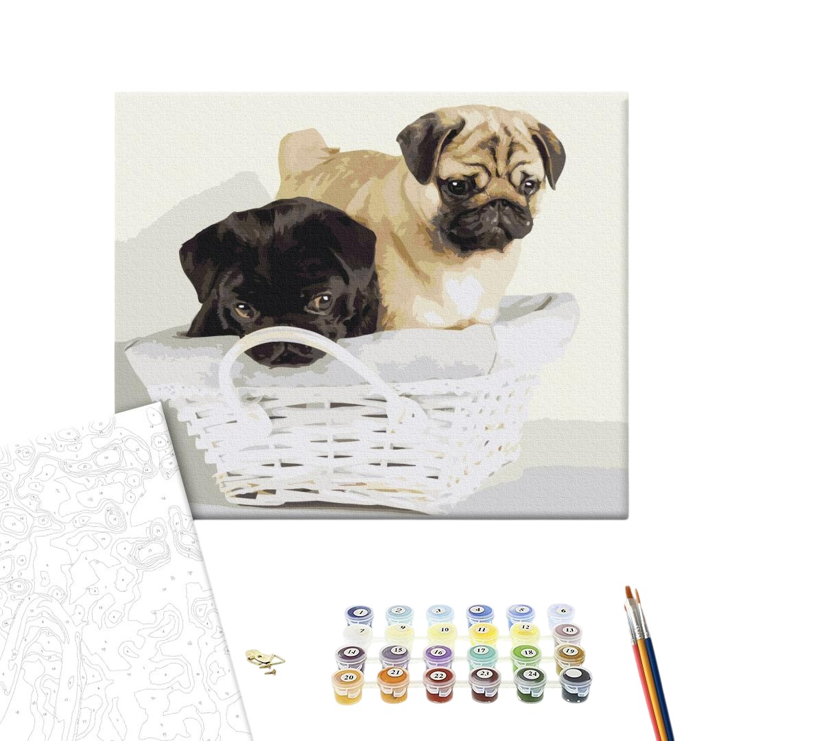 Картина по номерам 40x50см Brushme BS52643 Щенки в корзине, в коробке