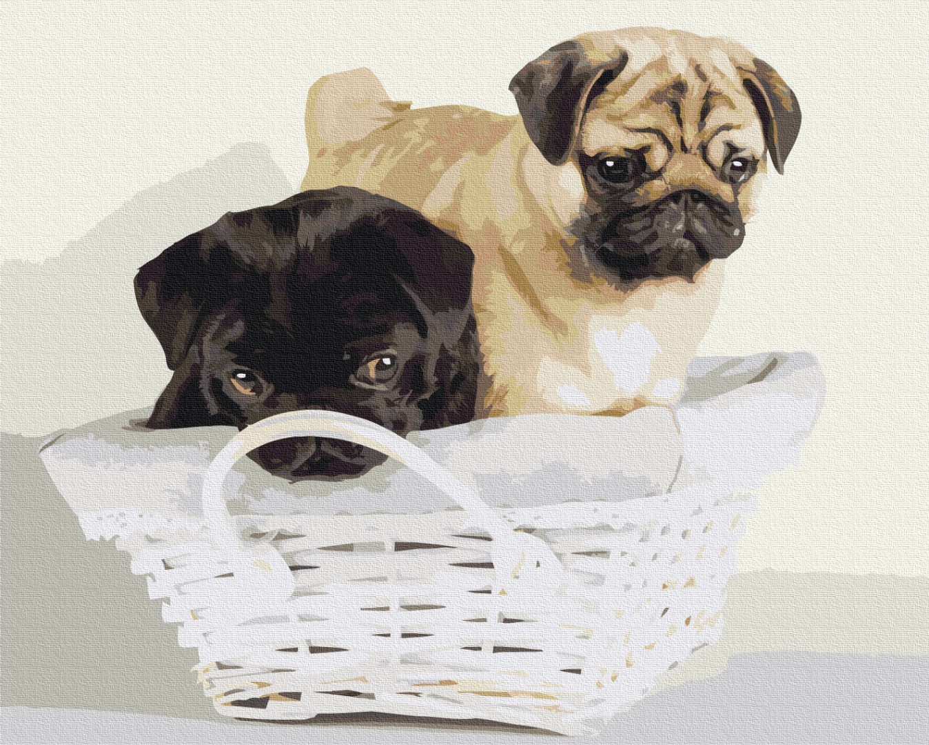 Картина по номерам 40x50см Brushme BS52643 Щенки в корзине, в коробке