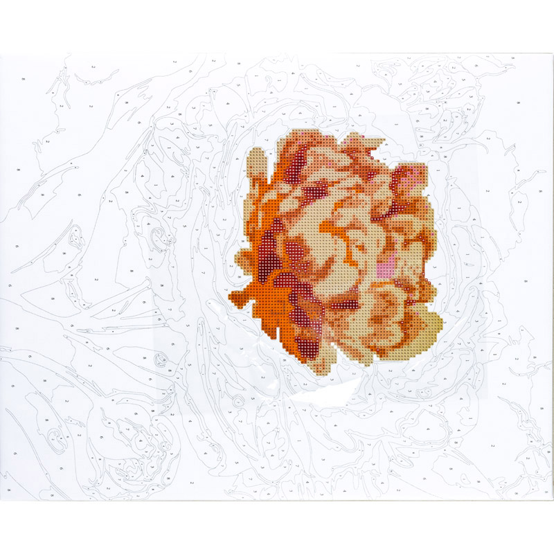 Mozaic cu diamante + Pictura pe numere Centrum 89690 Bujori 40x50cm