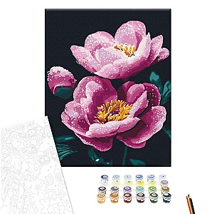 Pictura pe numere 40x50cm Brushme BS54155 Prospetimea diminetii, in cutie