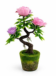 Bonsai in ghiveci HH03993 roz