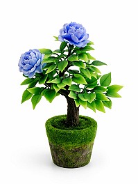 Bonsai in ghiveci HH03994 albastru