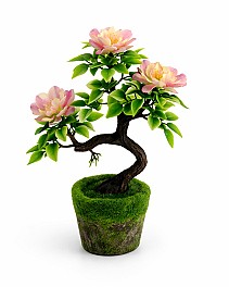 Bonsai in ghiveci HH03995 roz