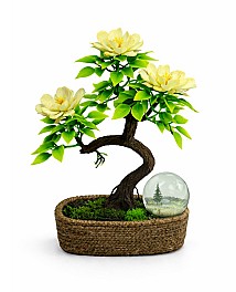 Bonsai in ghiveci HH03997 galben