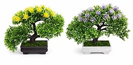 Bonsai in ghiveci HH04020 asortat