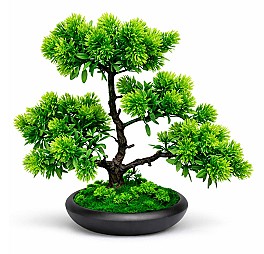 Bonsai in ghiveci HH04030