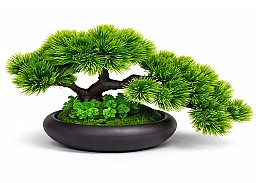Bonsai in ghiveci HH04031
