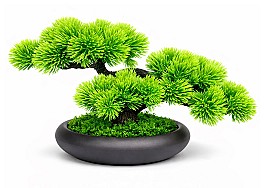 Bonsai in ghiveci HH04033